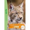 Hachette Jeunesse Wild Immersion 10 - Expédition au pays des lynx