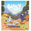 Hachette Jeunesse Bluey - Camping