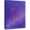 Hachette Disney Le Grimoire Des Princesses