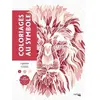 Hachette Heroes Coloriages mystères - Coloriages au symbole Sandrine Fourrier (Illustration)