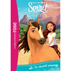 Bb Rose Verte Spirit 01 - Le cheval sauvage