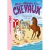 Hachette Mes amis les chevaux Tome XIV : Une journée à la mer - Sophie Thalmann