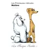 Classique Hachette - Les Précieuses ridicules, Molière