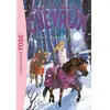 Bb Rose Verte Mes Amis Les Chevaux Tome 15 - Lulu A Disparu !