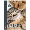 Les Chats - Un Poster Inclus !