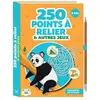 250 points à relier et autres jeux Collectif (Auteur)