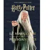 Huginn & Muninn Les mini-grimoires Harry Potter T9 : la mini-galerie des personnages