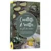 Amethyste-Jatb Eds Cueillette & Recettes Au Fil Des Saisons - Cuisine Botanique, Soins Naturels Et Créations Inspirées De La Nature