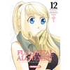 Kurokawa Eds Fullmetal Alchemist Perfect - tome 12