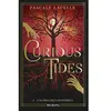 Big Bang Curious Tides, T2 : D'autres cieux mystérieux broché