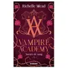 Big Bang Vampire Academy, T1 : Soeurs de sang