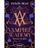 Big Bang Vampire Academy, T2 : Morsure de glace