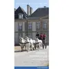 Lieux Dits Voitures Hippomobiles - Haras National Du Pin