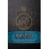 Huginn & Muninn Harry Potter, le carnet de croquis