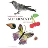 TASCHEN Ah ! Ernesto