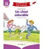 Recrealire Un chiot adorable Claude Huguenin (Auteur), Thomas Tessier (Illustration)