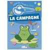 Grenouille La campagne
