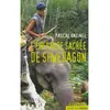 Actes Sud Jeunesse L'émeraude Sacrée De Shwedagon