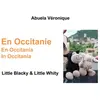 Books on Demand En Occitanie