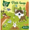Grund Petit loup dans la forêt Emilie Collet (Auteur), Thierry Manès (Illustration)