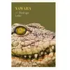 Yawara - Rodrigo Leão - Paulsen Eds - broché - Roman broché