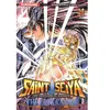 KUROKAWA saint Seiya - the lost canvas tome 14