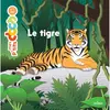 Mes p'tits docs : Le tigre