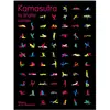 La Martiniere Eds De Kamasutra Brigitte Lahaie