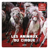 Auzou Éditions Les Animaux Du Cirque
