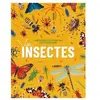 Piccolia Les Insectes