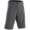 Ion Short Logo Plus