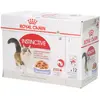 12x85g Instinctive en gelée Royal Canin - Sachets et Boîtes pour Chat
