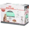 12x85g Digest Sensitive en sauce Royal Canin - Pâtée pour chat