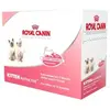 Bouchées en sauce pour chats Royal Canin Kitten 