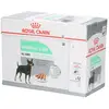 Royal Canin Pâtée Pour Chien Royal Canin Digestive Care Mousse 12x85g