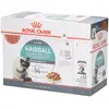 12x85g Hairball Care en sauce Royal Canin - Pâtée pour chat