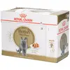 12x85g British Shorthair Royal Canin Breed - Sachets et Boîtes pour Chat