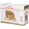 Mousse Royal Canin Chihuahua Adulte - 12 sachets fraîcheur 85 g