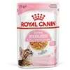Boîtes Chat   Royal Canin Sachet Sauce Kitten Sterilised - 12 x 85 g