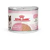 Royal Canin Mother and Baby Cat Mousse Ultra Tendre 12X195g