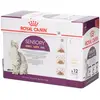 12x85g Sensory en sauce Royal Canin - Pâtée pour chat
