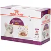 ROYAL CANIN - Sensory Taste pour Chat 12 Sachets 85 G en Sauce