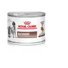 12x195g Recovery Royal Canin Veterinary Diet - Pâtée pour chien