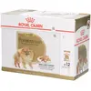 12x85g Spitz Nain Royal Canin Breed - Pâtée pour chien