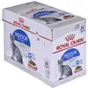 Royal Canin Indoor Indoor Strilise, Snacks   Salsa, Box 12 x 85 gr