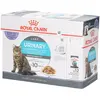 Royal Canin FCN Urinary Care en gelée pour chat   12 x 85 g