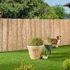 PROVENCE OUTILLAGE Windhager 06523 Canisse Roseau Naturel Beige 1 x 5 m