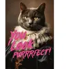 Puzzle 1000 pièces : You look purrrfect !