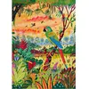 Puzzle 1000 pièces - PIATNIK - Aras - Coloris Unique - Adulte - Intérieur