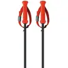 Fischer Bâtons Rd 13 Carbon